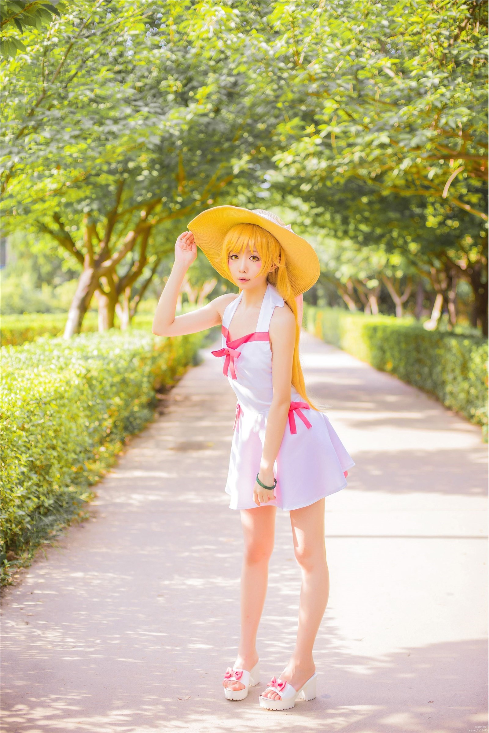 Star's Delay to December 22, Coser Hoshilly BCY Collection 9(123)